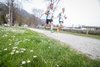 Fruehlingslauf 2016 III 