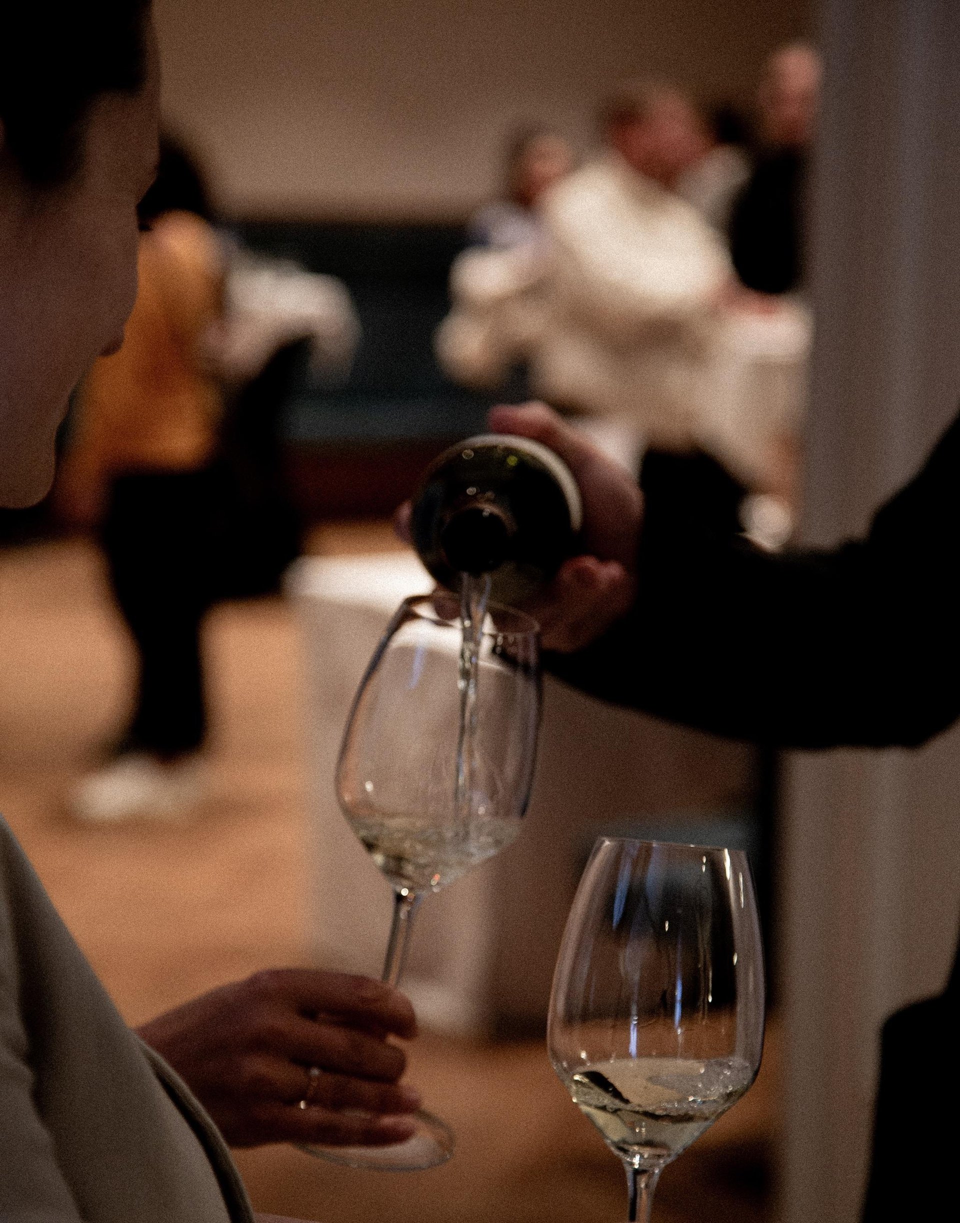 Wine@Innsbruck 2025 2