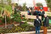 Fiera di primavera I