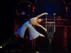 Circus-Theater-Roncalli 3
